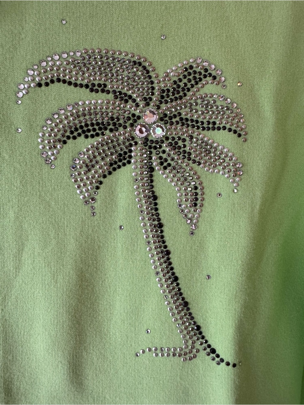 NWT-Christine Alexander Lime Green Zip Hoodie with Stud Accents-Size Large - Picture 4 of 10